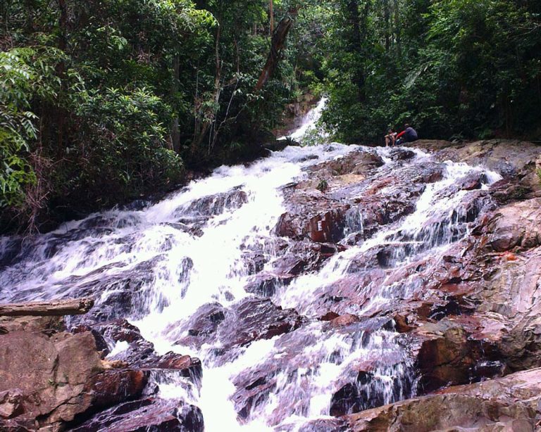 Pelepah Falls and Firefly Hunt at Kota Tinggi