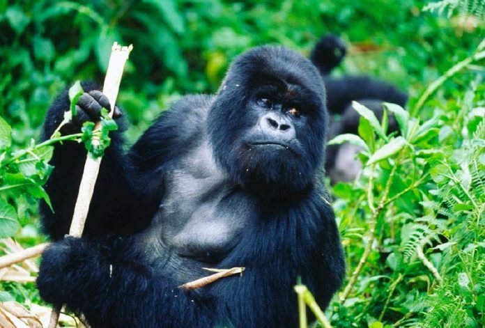 5 Exciting Destinations for Active Travellers | Peek Holidays