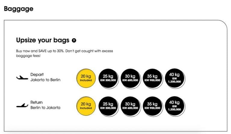 scoot hand baggage limit