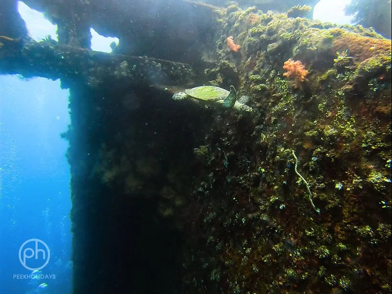 peekholidays-dive-tulamben-bali