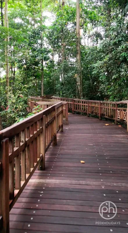 peekholidays-bukit-timah