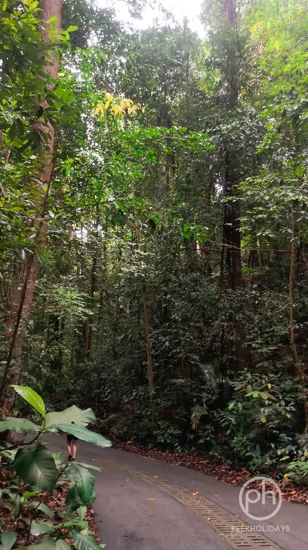 peekholidays-bukit-timah