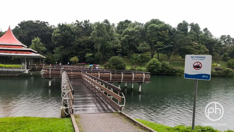 peekholidays-macritchie