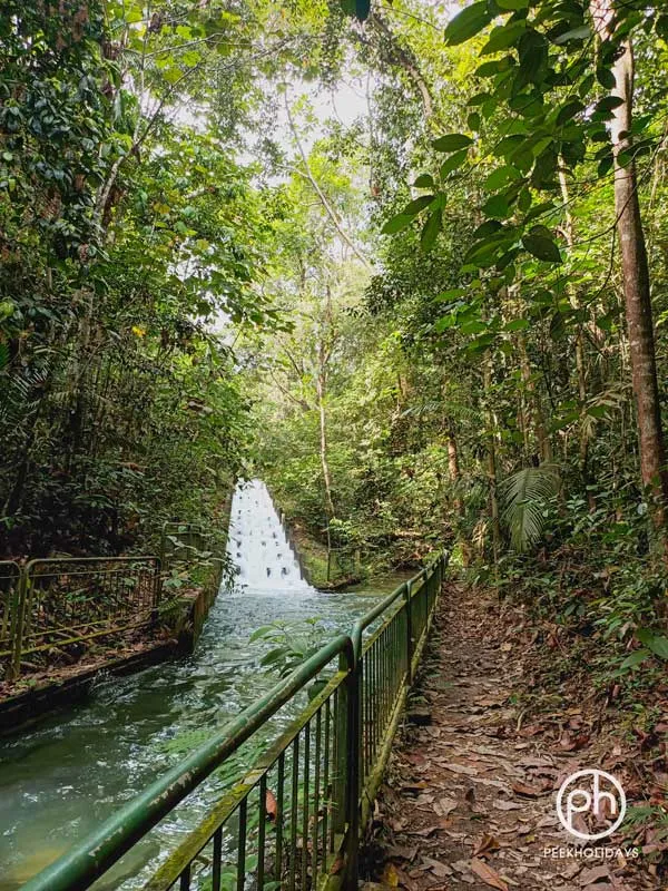 peekholidays-macritchie