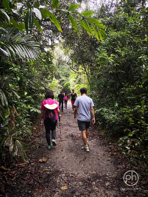 peekholidays-macritchie