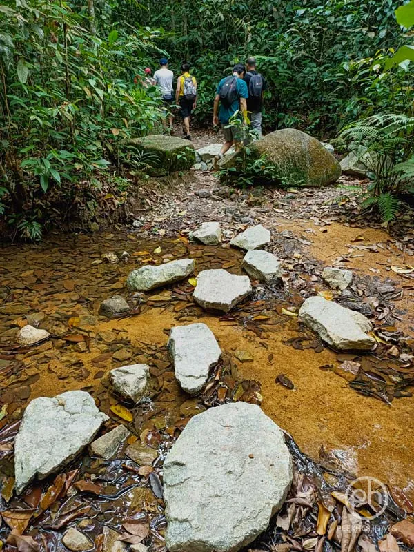 peekholidays-macritchie