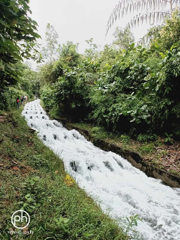 peekholidays-macritchie