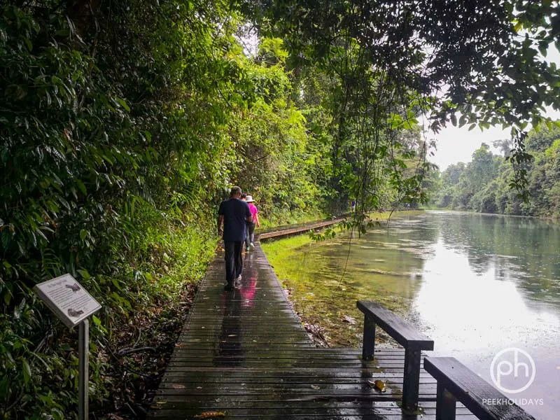 peekholidays-macritchie