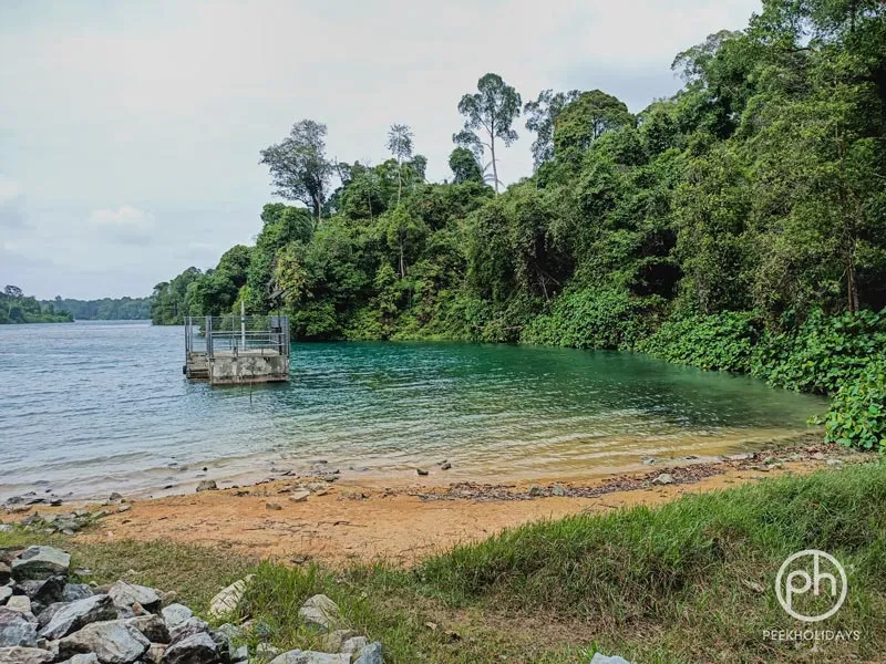 peekholidays-macritchie