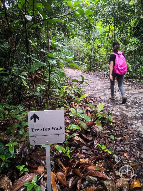 peekholidays-macritchie