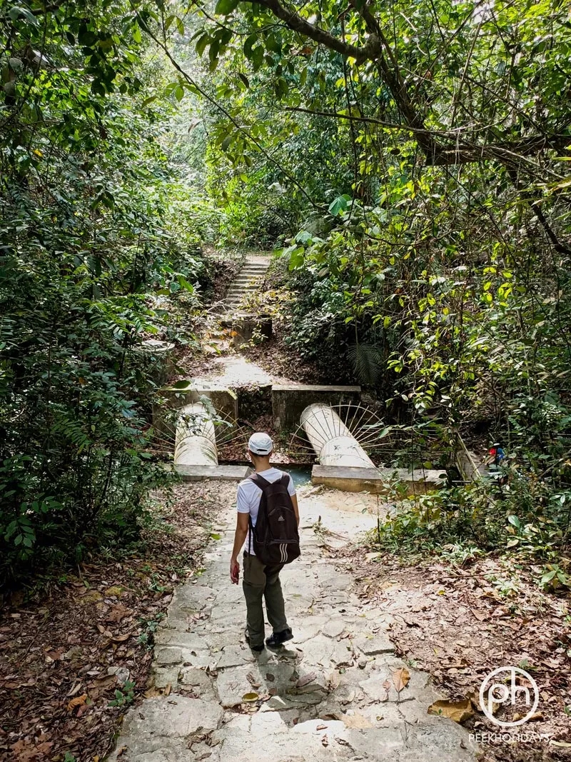 peekholidays-macritchie