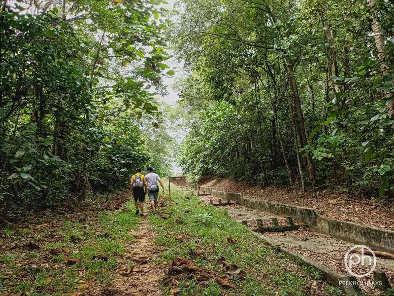 peekholidays-macritchie