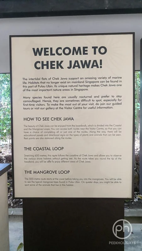 peekholidays-pulau ubin singapore