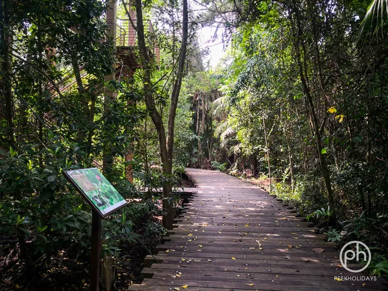 peekholidays-pulau ubin singapore