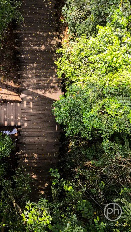 peekholidays-pulau ubin singapore