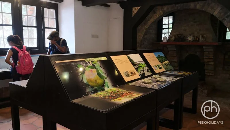 peekholidays-pulau ubin singapore